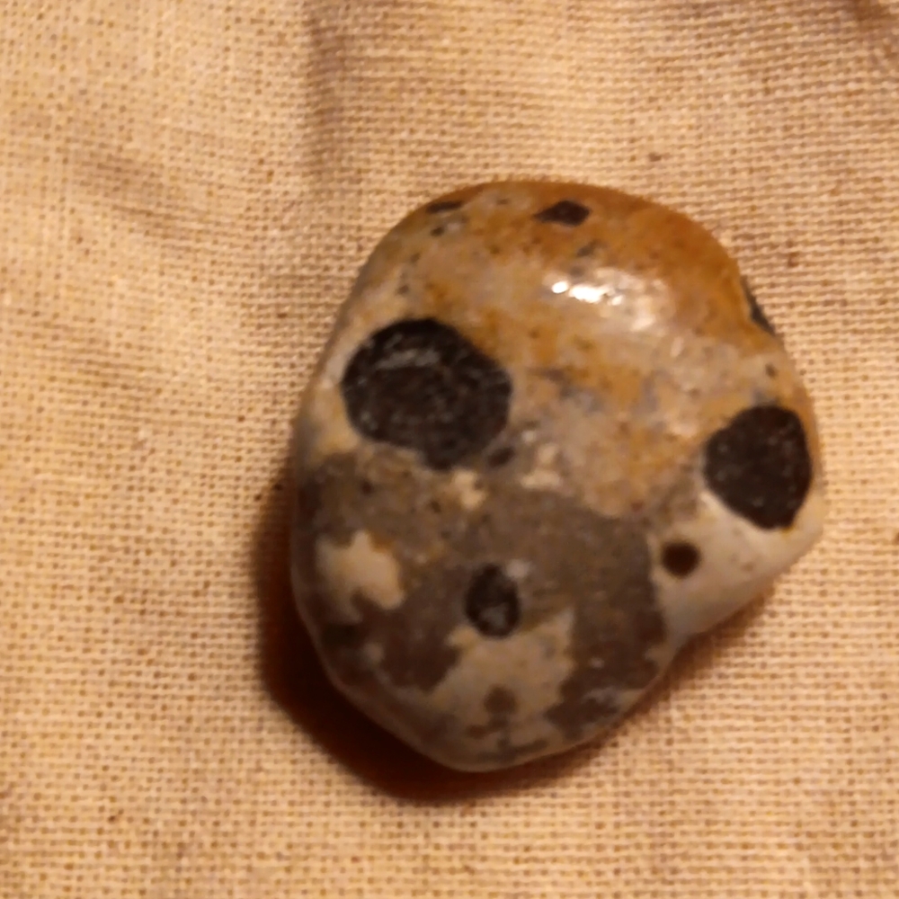 DALMATIAN STONE